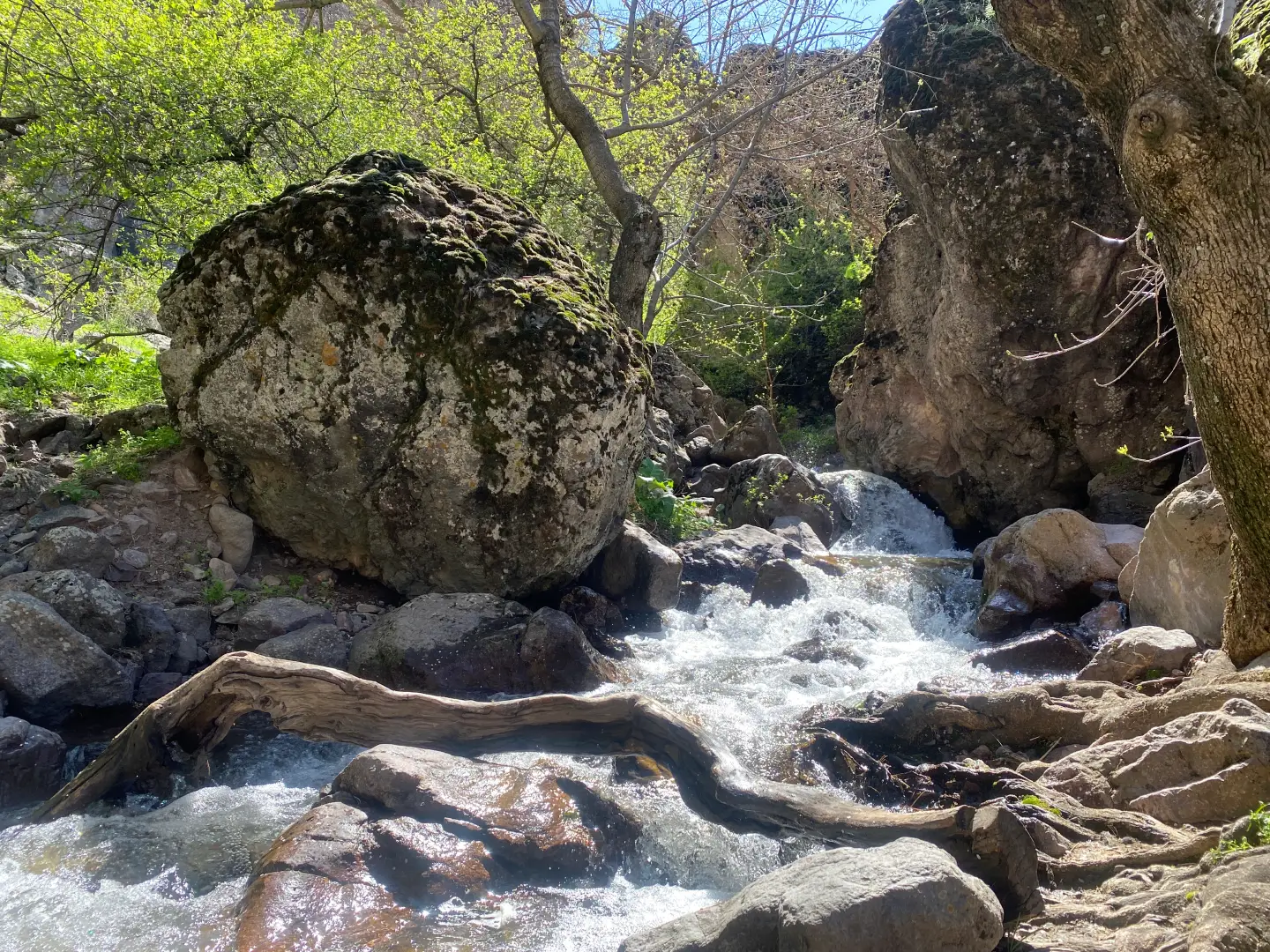 Булаксу